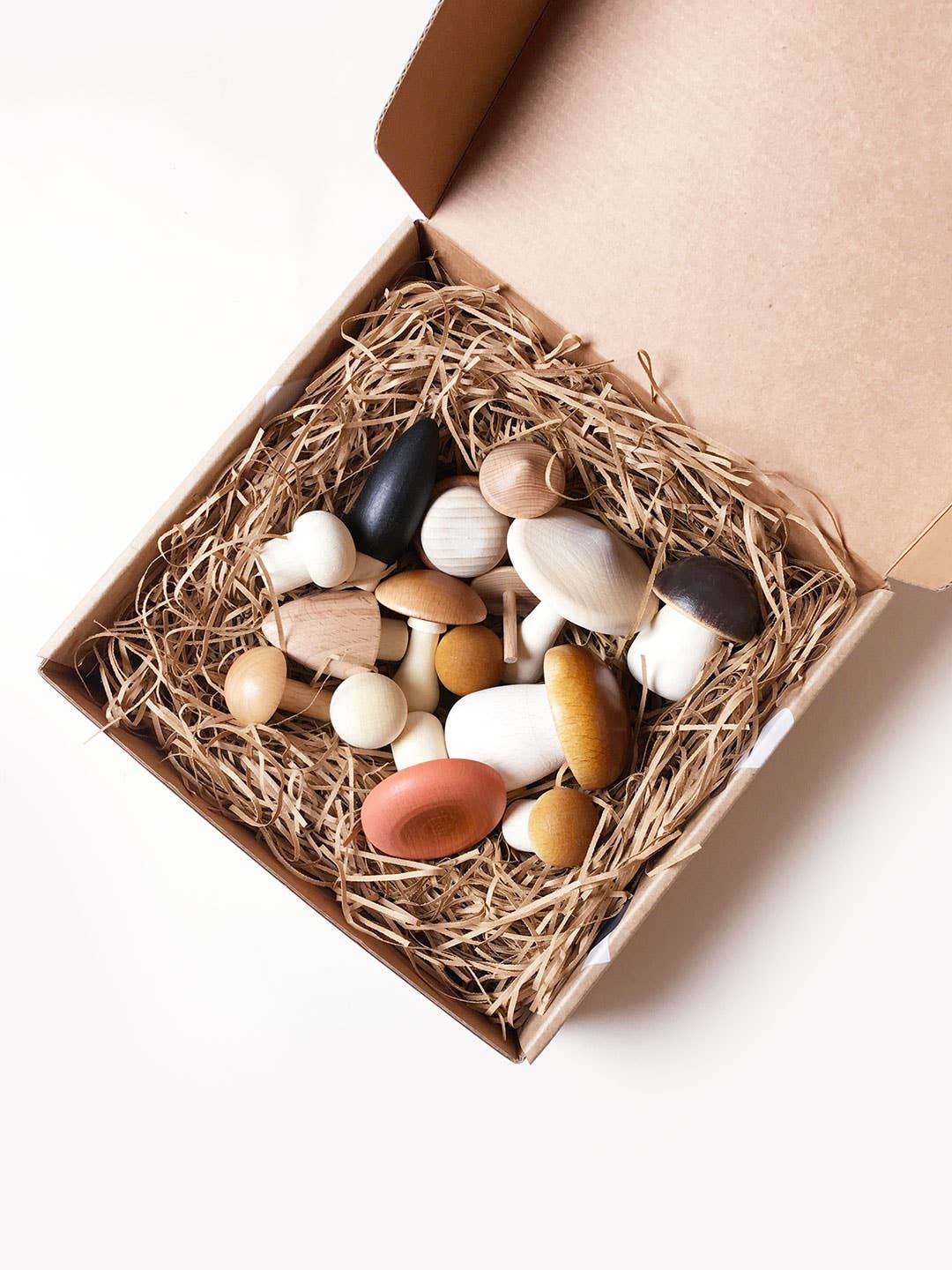 [Pre-Sale] Moon Picnic - Forest Mushrooms in a box