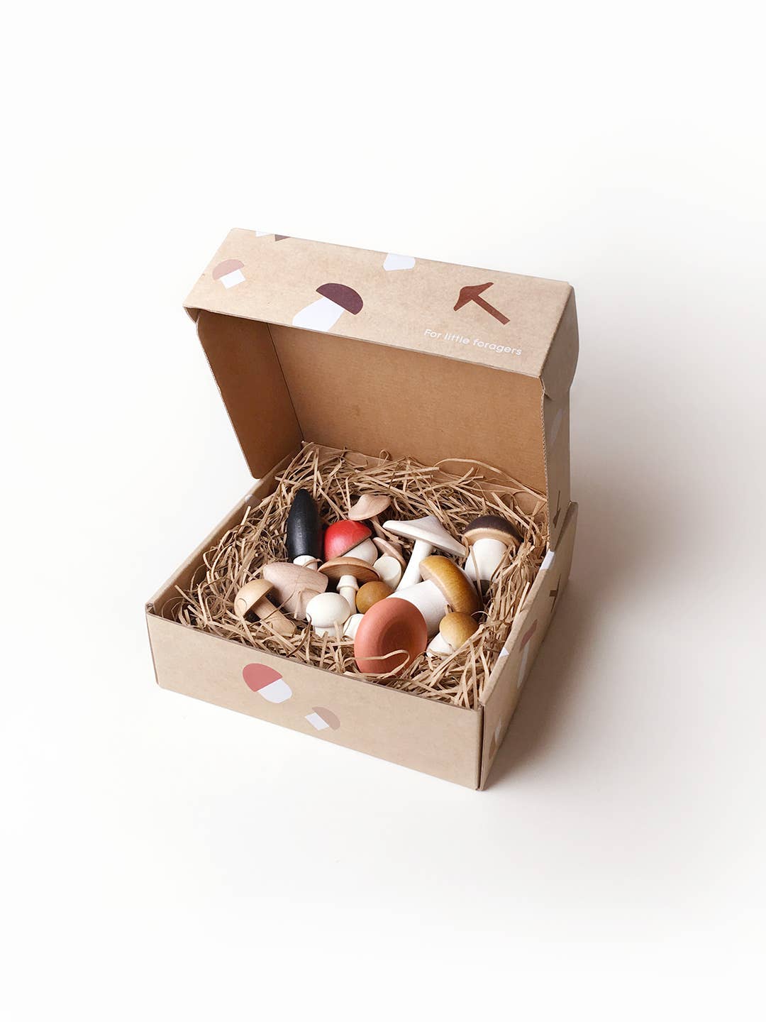 [Pre-Sale] Moon Picnic - Forest Mushrooms in a box