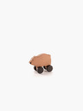 Brown Bear